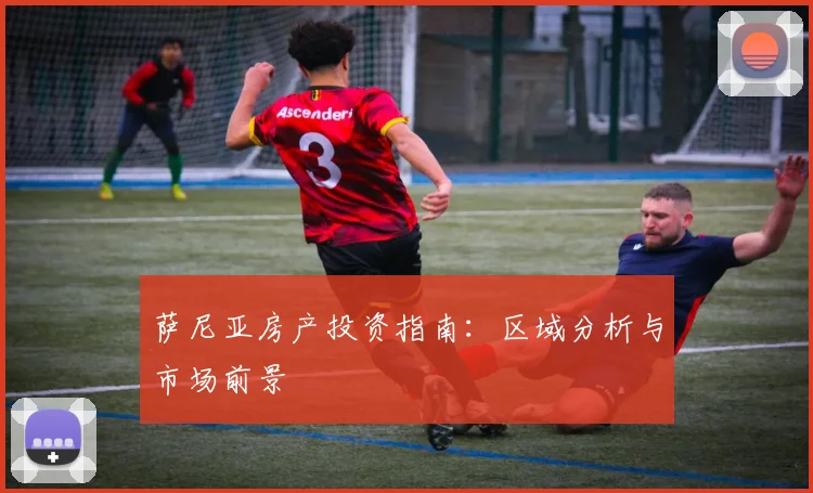 萨尼亚房产投资指南：区域分析与市场前景