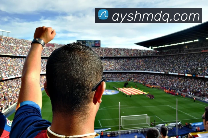 泛亚体育APP 体育赛事宣传图